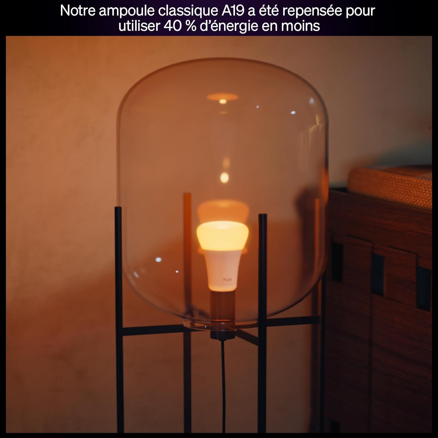Philips Hue Ampoule connectée LED A60, White and color, Ampoule E27, 8,1 W, Spectre complet 1000-2000 K, 1100 lm, Intensité variable, Compatible Alexa, Google et Apple Home, pack de 2