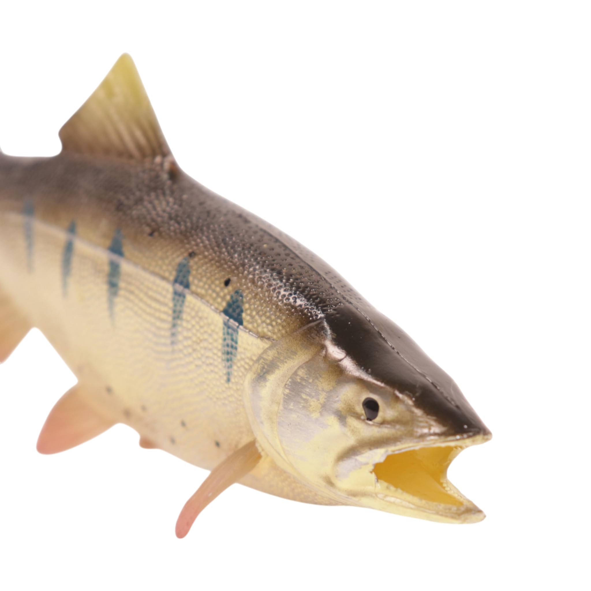 Amazon.co.jp: [猫神山] 山女魚 ヤマメ 川のサカナ 渓流 魚 フィギュア