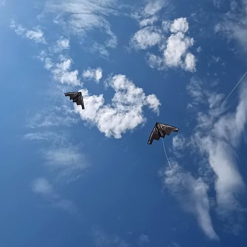 Miniatura 8 de Cometa de avión grande para adultos y niños, fácil de montar, simple, fácil de volar, niños y niñas con cuerda de cometa de 300 pies