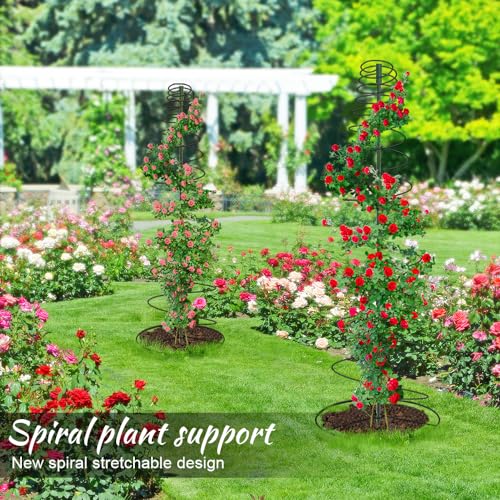 Rankhilfen für Kletterpflanzen Garten, Pflanzenstütze Rund Metall, Rankhilfe Tomaten 135cm Hoch, Kletterhilfe Pflanzen Draussen und Innenbereich, Topfpflanzen für Rosen Bohnen Gurken Weinrebe Efeutute – Bild 4