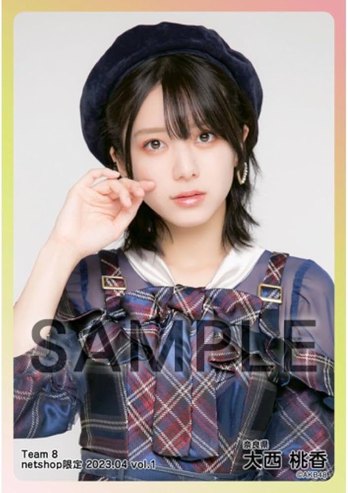 AKB48 生写真 衣装ミュージアム 新潟限定 AKB48 生写真 衣装