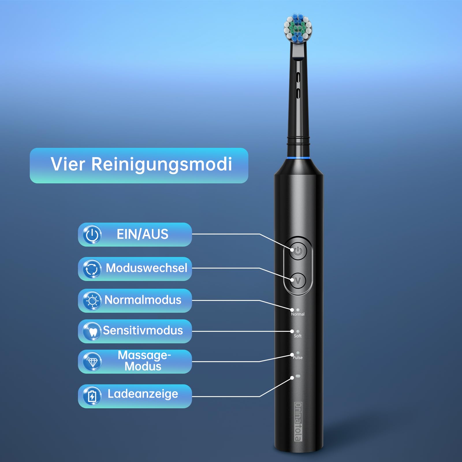 Brosse à dents électrique avec 8 têtes de brosse (3 modes), brosse à dents électrique rechargeable de voyage, autonomie de 50 jours, 8 800 VPM, étui de voyage et câble de charge USB, noir