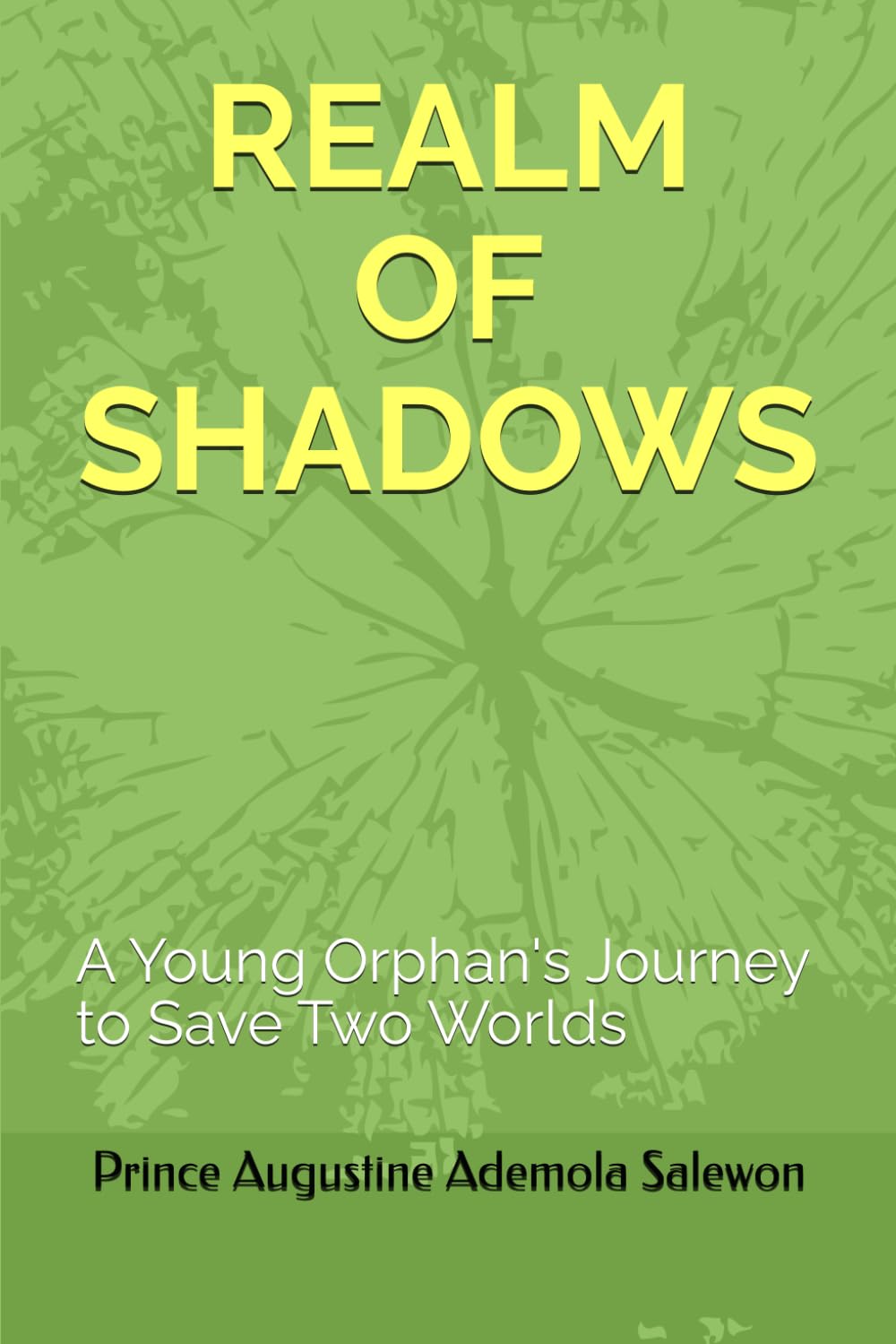 Realm of Shadows: A Young Orphan's Journey to Save Two Worlds