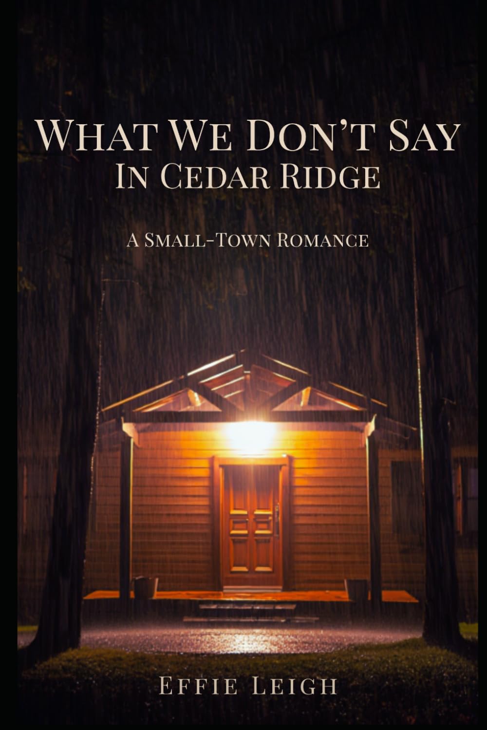 What We Don’t Say in Cedar Ridge: A Small-Town Romance