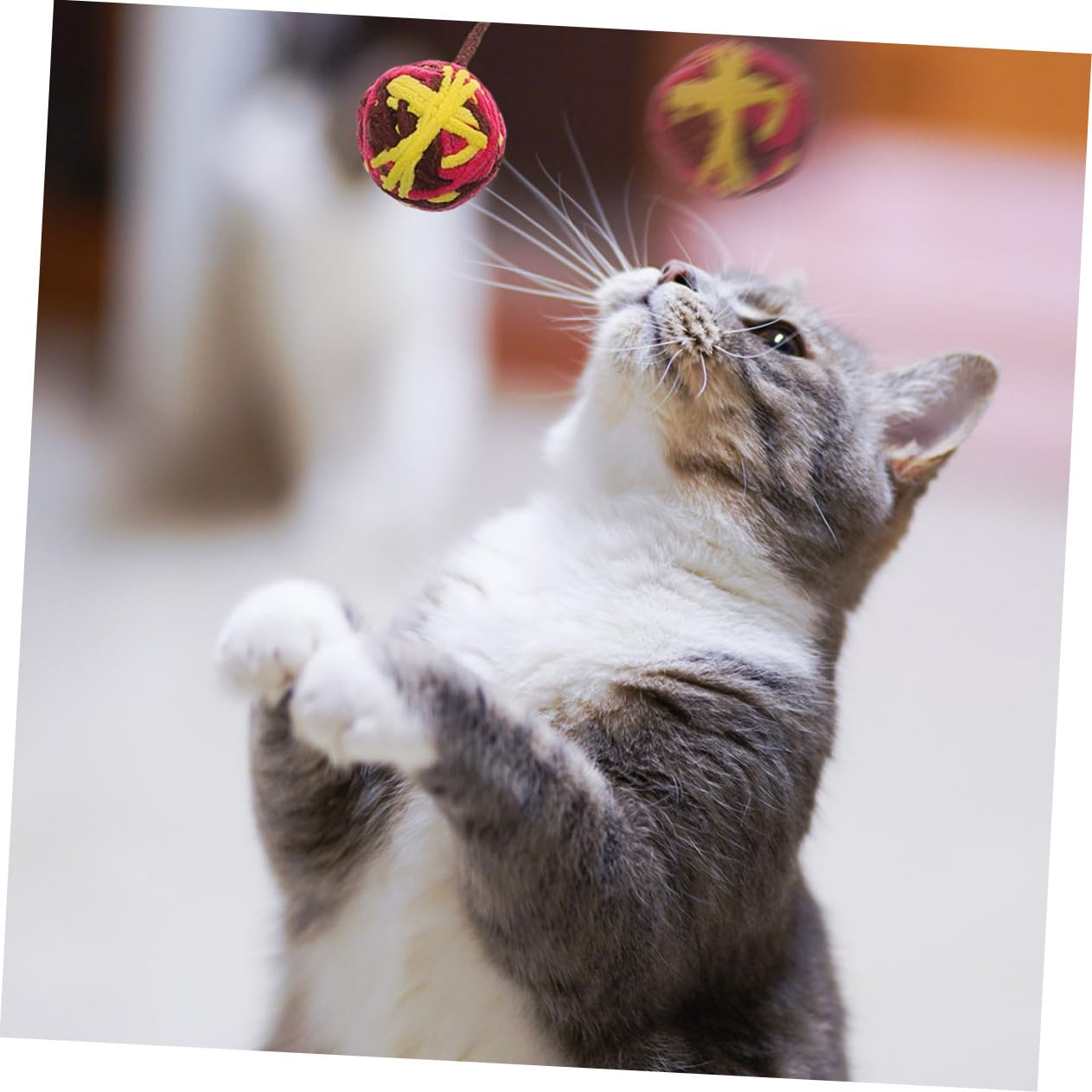 minkissy Lot de 25 balles en Laine pour Chat - Jouets pour Chats d'intérieur - Clochettes pour Chat d'intérieur - Jouets interactifs pour Chat - Jouet intéressant pour Chat - Fil à Longue Queue