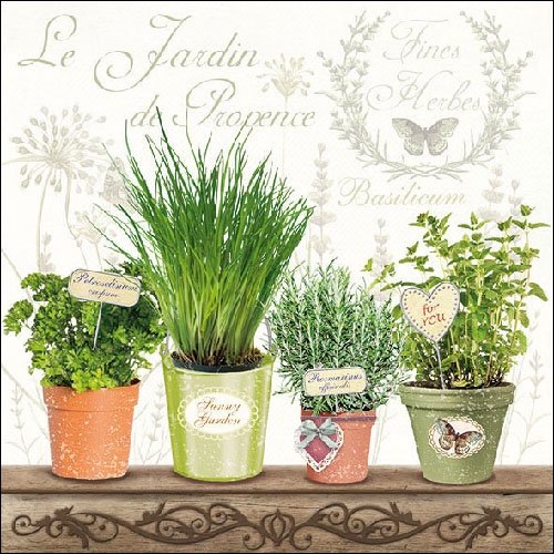4 servilletas de papel para decoupage – 3 capas, 33 x 33 cm – Le Jardin de Provence (4 servilletas individuales para manualidades y arte de servilletas)
