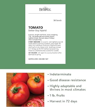 Burpee 'Better Boy' Hybrid Tomato Seeds , Large Slicing Red Tomato Variety , 30 Non-GMO Vegetable Seeds for Planting , Disease-Resistant Tomato for Garden