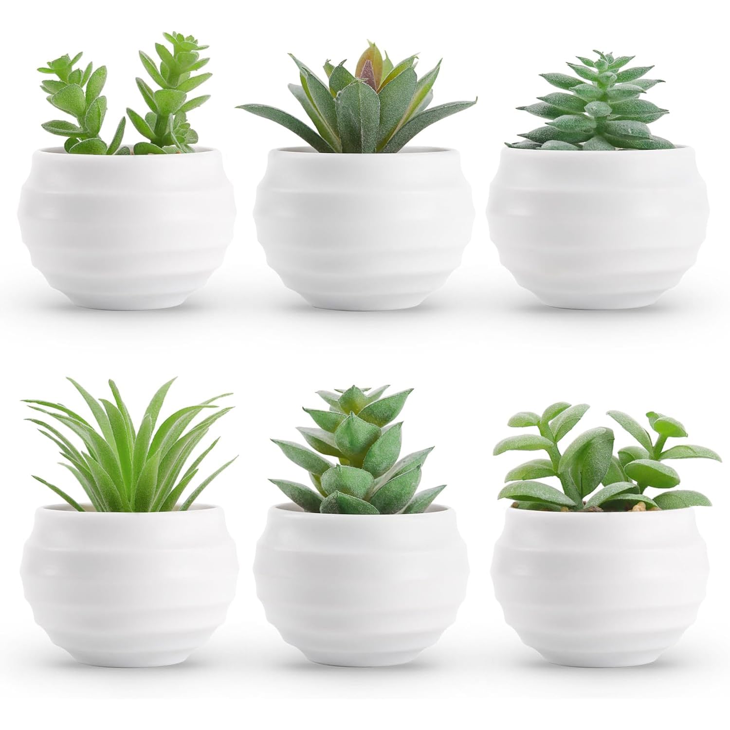 TIED RIBBONS Set of 6 Artificial Small Succulents Plants with Pots (Green, 7.6cm x 7cm) - Mini Fake Plants for Home Décor Bedroom Aesthetic Living Room Shelf Bathroom Office Desk Tabletop & Gift Item-image-34