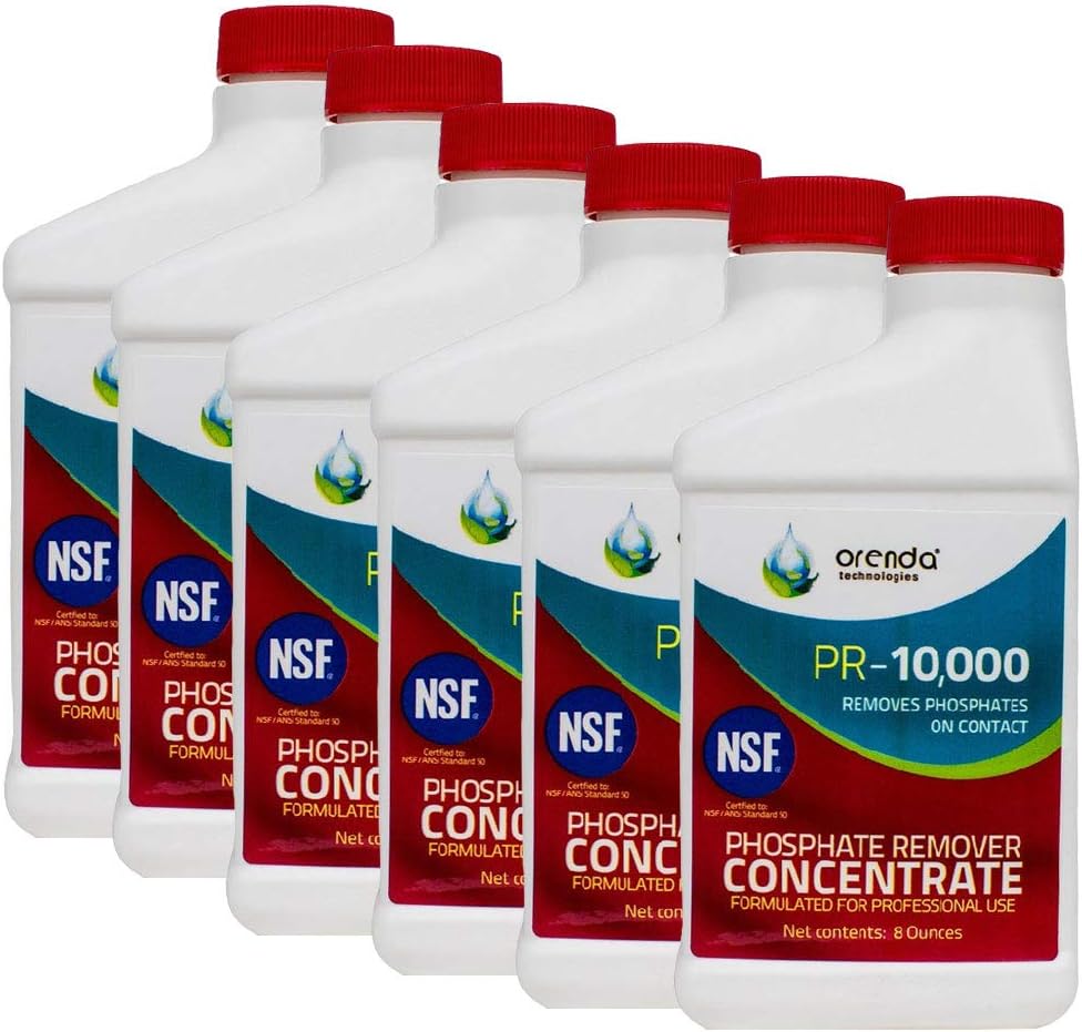 API Revive! Weekly Swimming Pool Clarifier and Water Cleaning Treatment for