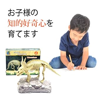 恐竜化石博物館 5体セット 模型 おもちゃ Amazon | 正直屋 恐竜発掘骨格 化石発掘キット 化石 発掘