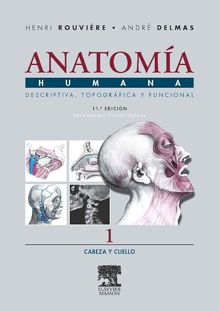 Portada de Anatomia Humana: Descriptiva Topografica y Funcional : Cab Eza y