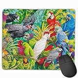 Abmessungen: 18x22CM, Rechteck, Lieferumfang: 1 * Mauspad