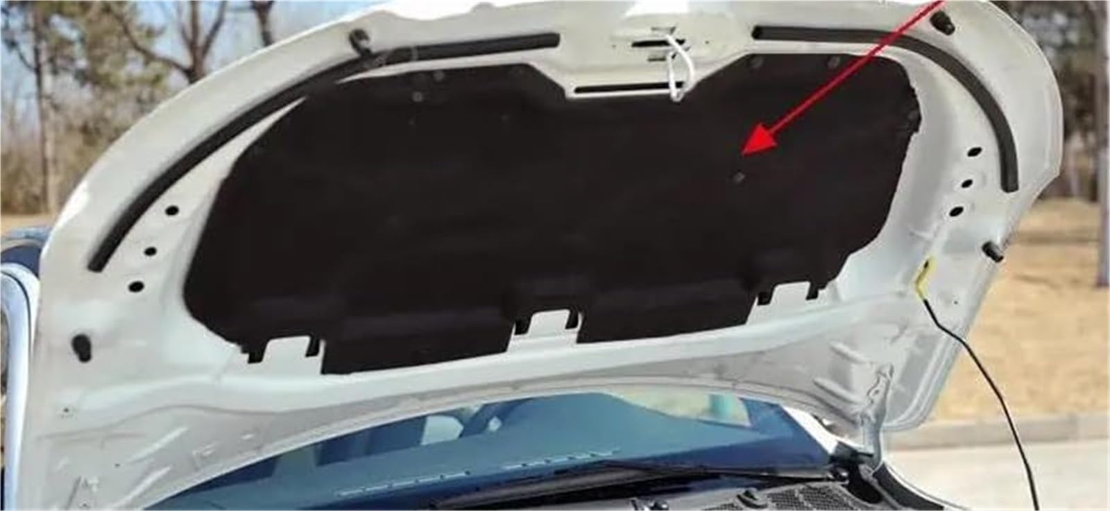 Citroen C3 2015-2019 Cofano motore isolamento acustico termico cotone insonorizzazione copertura