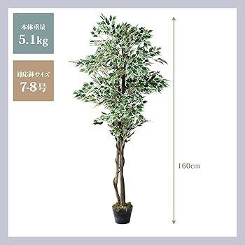 Amazon.co.jp: 山善(YAMAZEN) フェイクグリーン 高さ160㎝ 水
