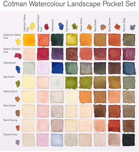 Miniatura 7 de Winsor & Newton Cotman - Juego de pintura de acuarela, 8 medias bandejas, colores de paisaje con pincel, gris, verde, amarillo