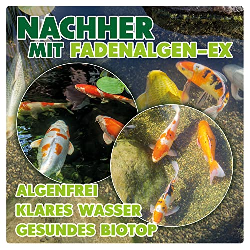 Mittel gegen Fadenalgen Aquality für Aquaristik und Gartenteich