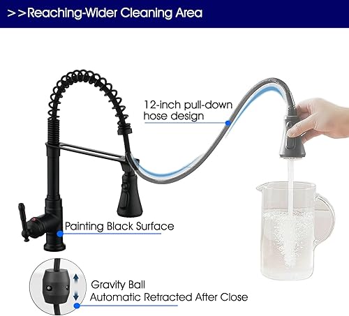 Vista 12 de Kitchen Sink Faucet with Pull Down Sprayer,Brushed Nickel Kitchen Faucet Spring Gooseneck Faucet Pull Out,Single Handle High Arc Kitchen Sink Faucet