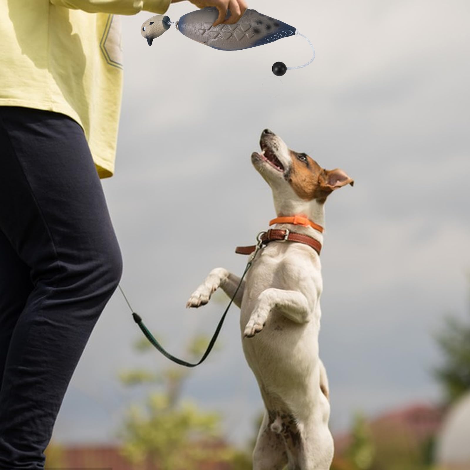 Ente Fasan Taube, Hundetraining, Taubenschnuller für Hundetraining Dummy Bumper Retriever Training Schwimmend De-ad Vogel Fowl Trainer Jagd Retriever Hundetraining Zubehör