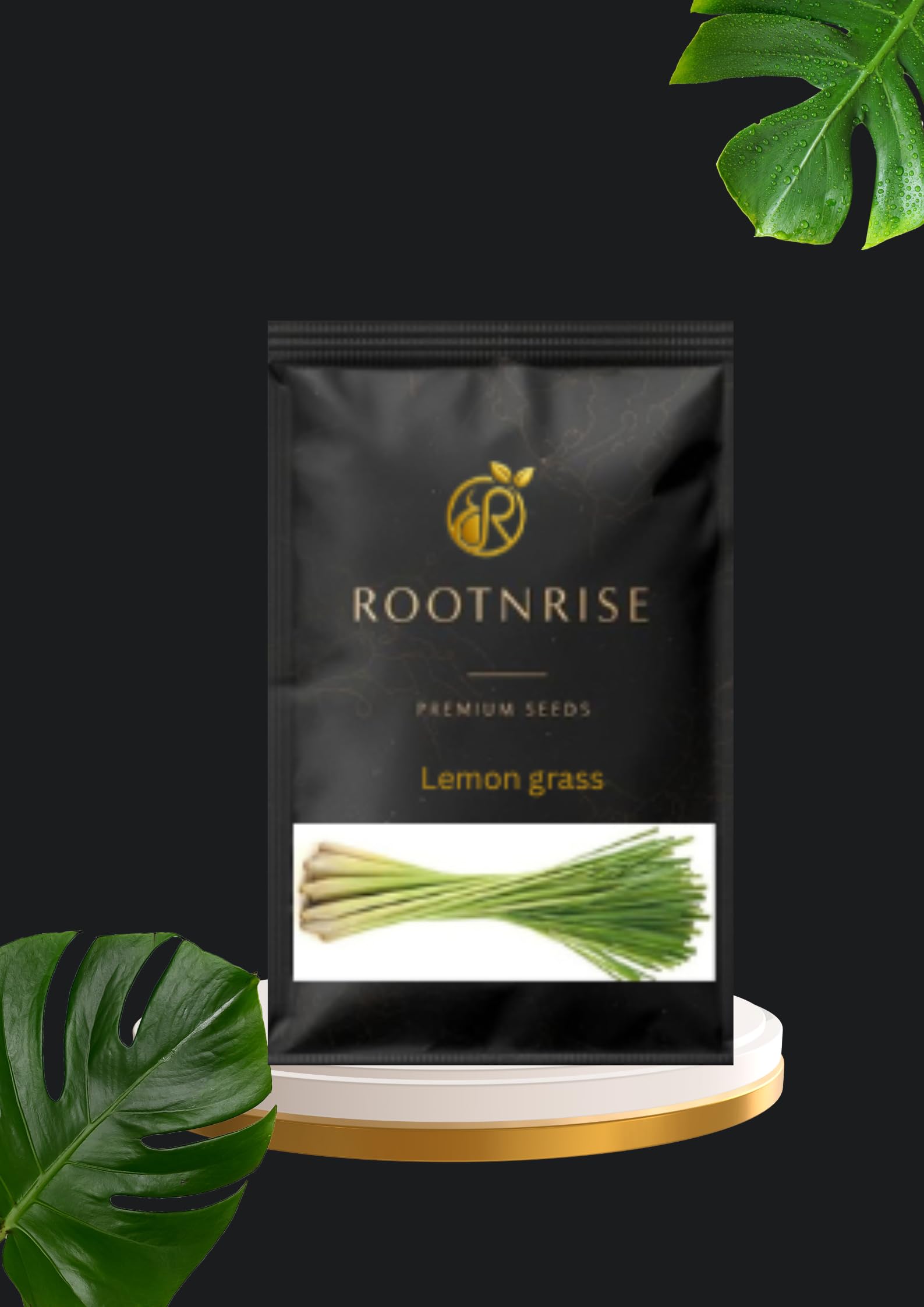 RootNrise Hybrid Lemon Grass Seeds for Home and Terrace Garden, High Germination, 50+ Seeds-picture-35