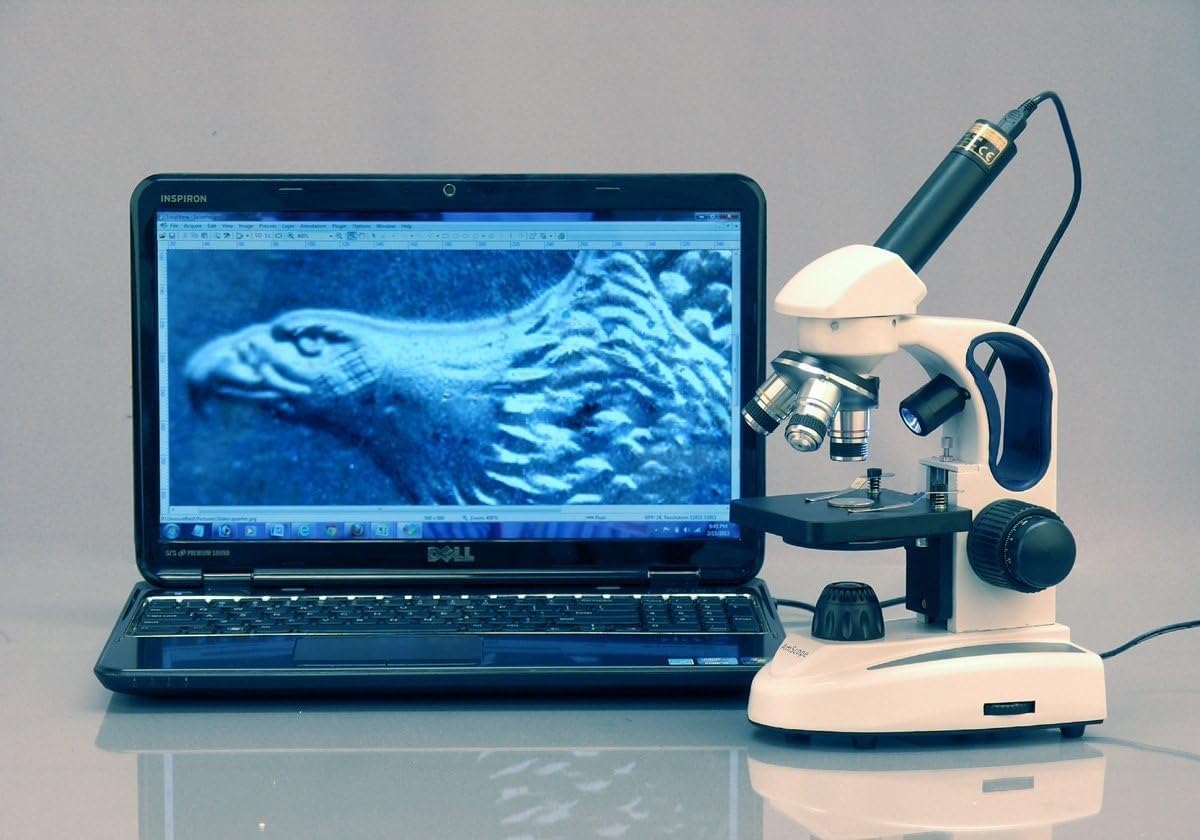 AmScope M158B-2L Cordless Compound Monocular Microscope, WF10x and WF20x Eyepieces, 40x-800x Magnification, Upper and Lower LED Illumination with Rheostat, Brightfield, Single-Lens Condenser, Coaxial Coarse and Fine Focus, Plain Stage, 110V or Battery-Powered