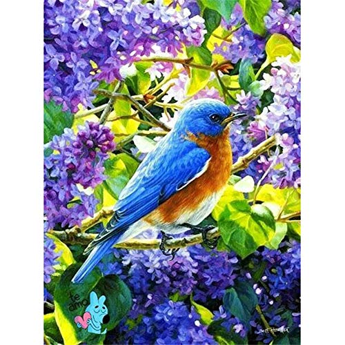 Broderie Diamant 5D Oiseau Bleu Strass Point de Croix Idée Déco Murale - 2