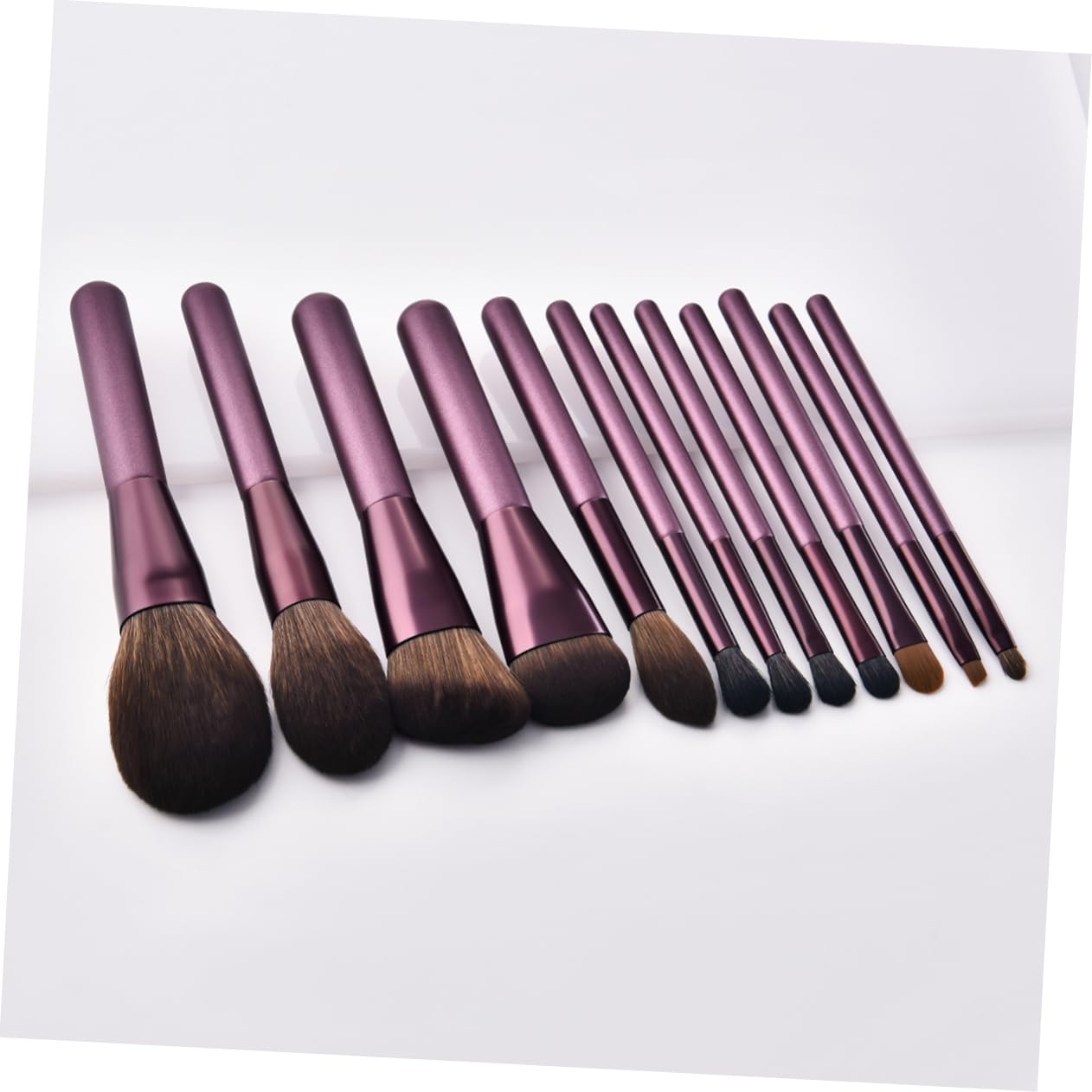 12 pezzi Pennelli Professionali con Setole Nylon e Legno Kit per Blush e Cosmetici Adatto per Donne e