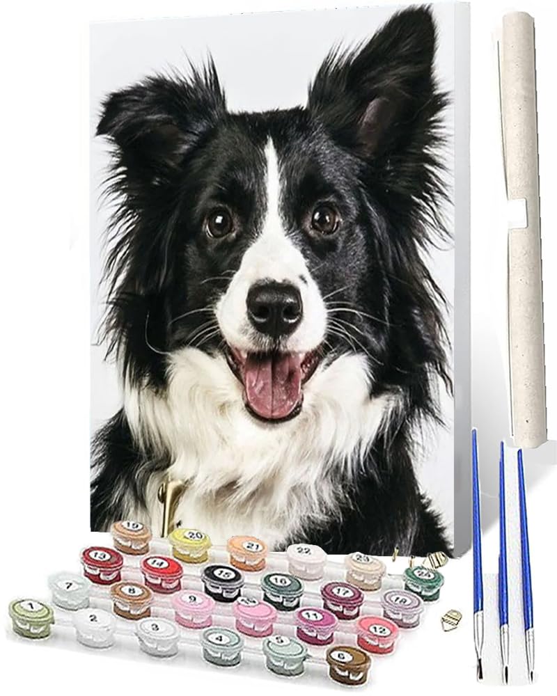 WMZPOY Paint by Numbers for Adults DIY Paint by Numbers Adults Paint by Number Acrylic Painting Kit Border Collie-2 with Painting for Friends Family 16x20 Inches