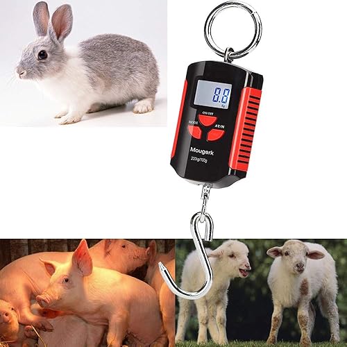 Vista 7 de Báscula colgante digital portátil resistente para grúa de 440 libras, 440.9 lbs, 2 pilas AAA (no incluidas)