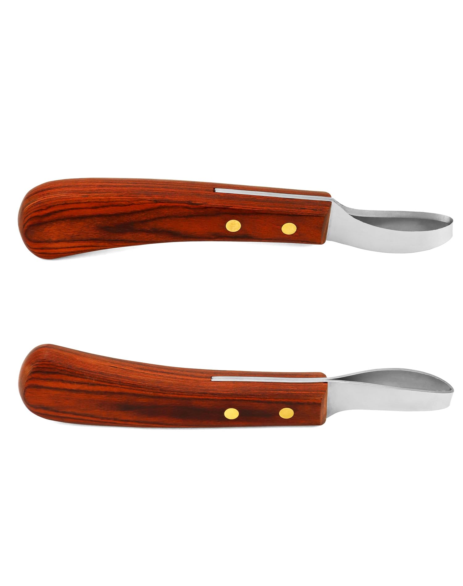 QWORK® Cuchillo para pezuñas de Acero Inoxidable de Primera Calidad con Mango, Cuchillo para bucles, Herramienta para Recortar pezuñas para Caballos
