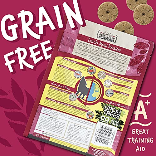Earthborn Holistic Lamb Meal Recipe Holistic Oven-Baked Dog Treats (Lamb) #TOP1