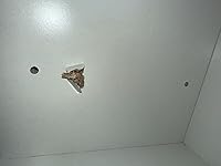 Review Image by B freund B freund