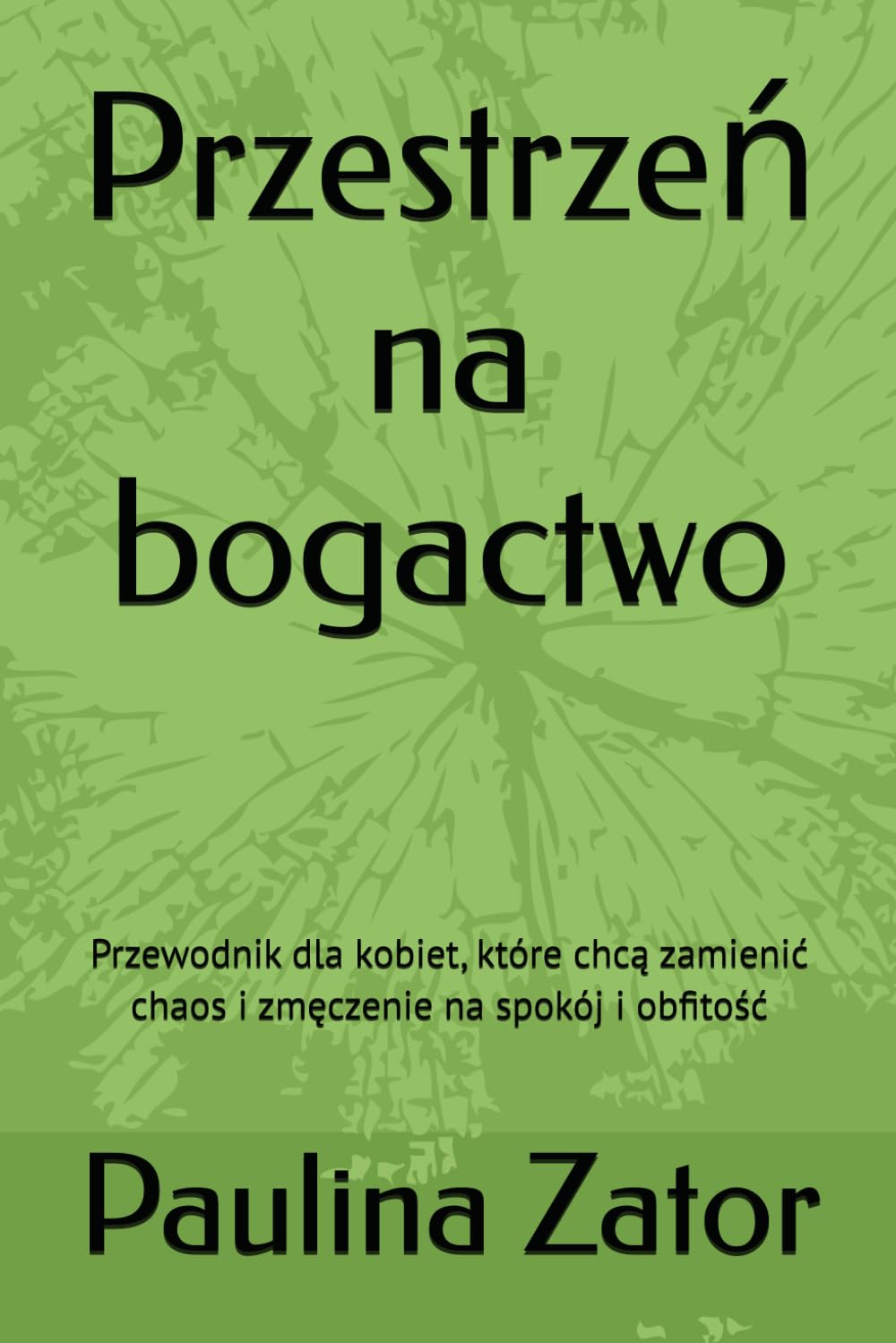Przestrzeń na bogactwo: Przewodnik dla kobiet, które chcą zamienić chaos i zmęczenie na spokój i obfitość