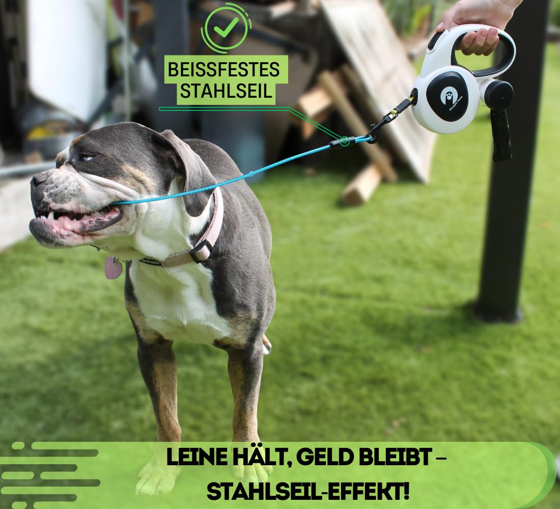 Snuggle Paws Ausziehbare Hundeleine 5m – Kompakt & Leicht: LED-Lampe, Integrierter Kotbeutelspender, Anti-Kau-Stahlseil, Reflektierendes Nylonband | Rollleine für kleine Hunde bis 20 kg