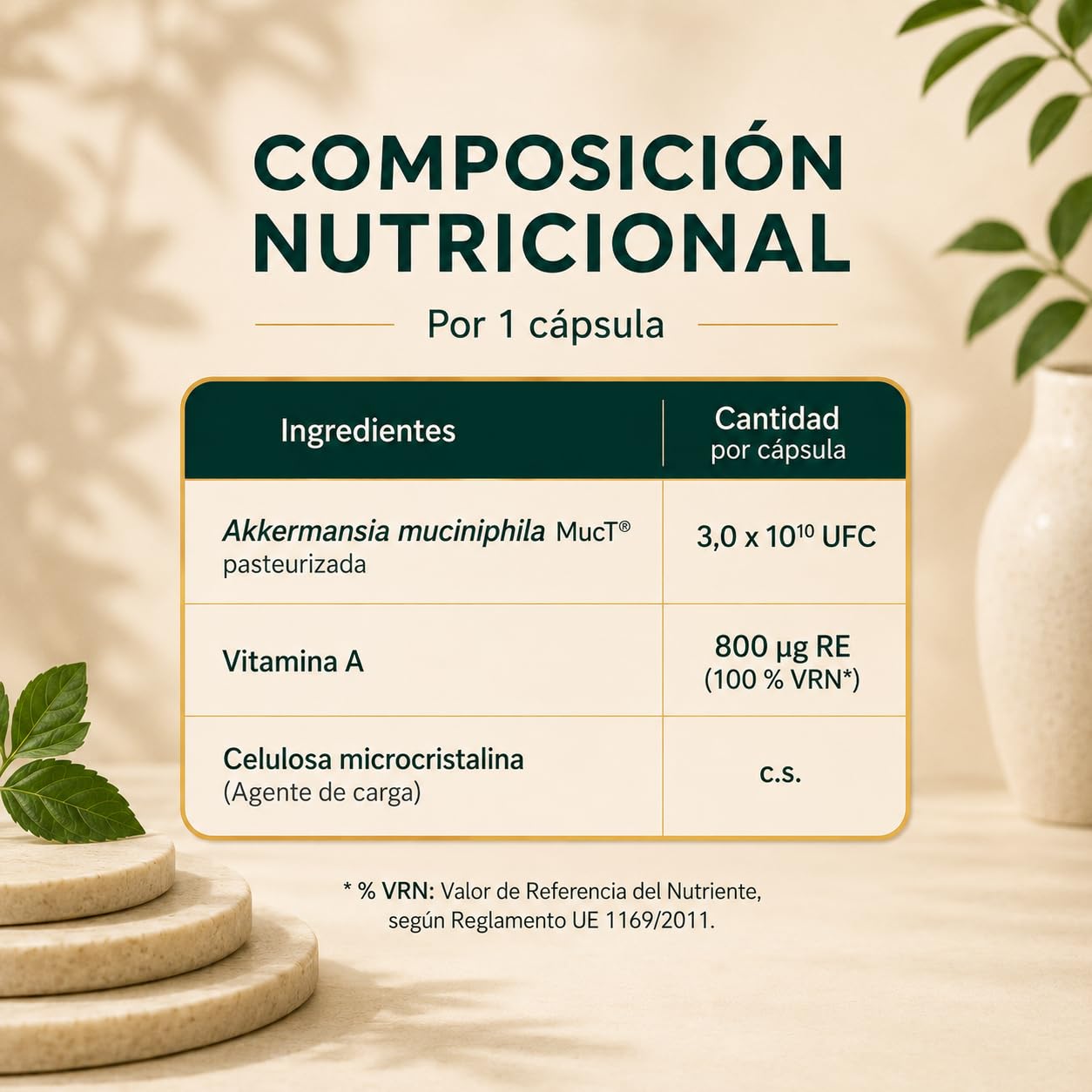 Microbiota Akkermansia 30 Cápsulas | Barrera Intestinal y Sistema Inmunitario | Con Vitamina A | Equisalud