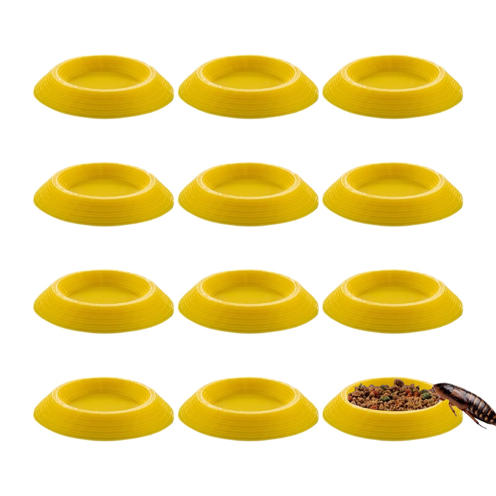 Mppchhn Isopod Feeder Dish, Non-Slip Terrariums Feeding Tray,Isopod Feeding Bowl - for Springtails Millipedes Dwarf Invertebrates