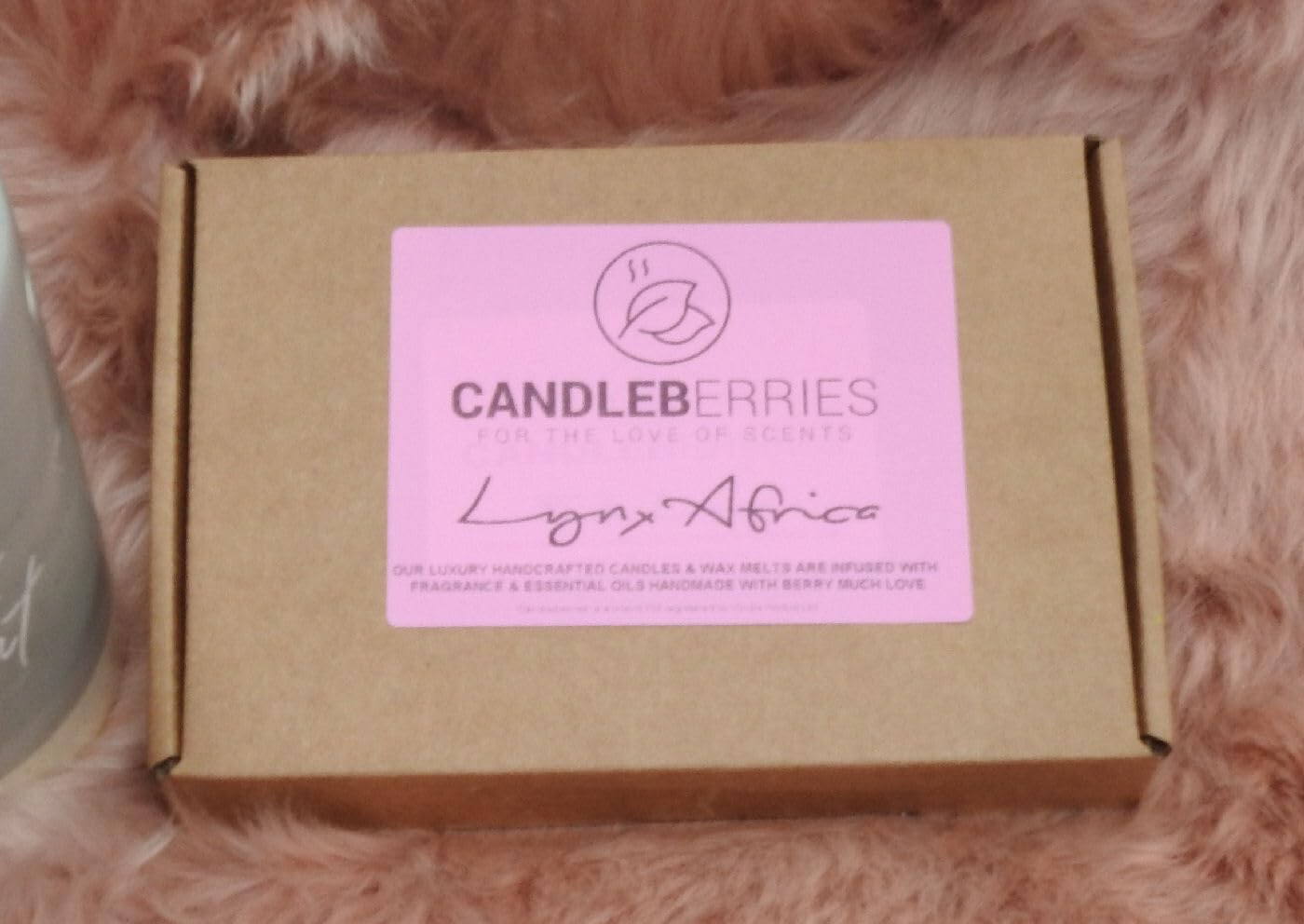 Lynx Africa Wax Melts | 20x 7g Strong Scented | Luxury Gift Set Wax Melts | Over 100Hrs Burn Time Per Box | Vegan & Pet Friendly | Cruelty & Eco Friendly | Handcrafted UK