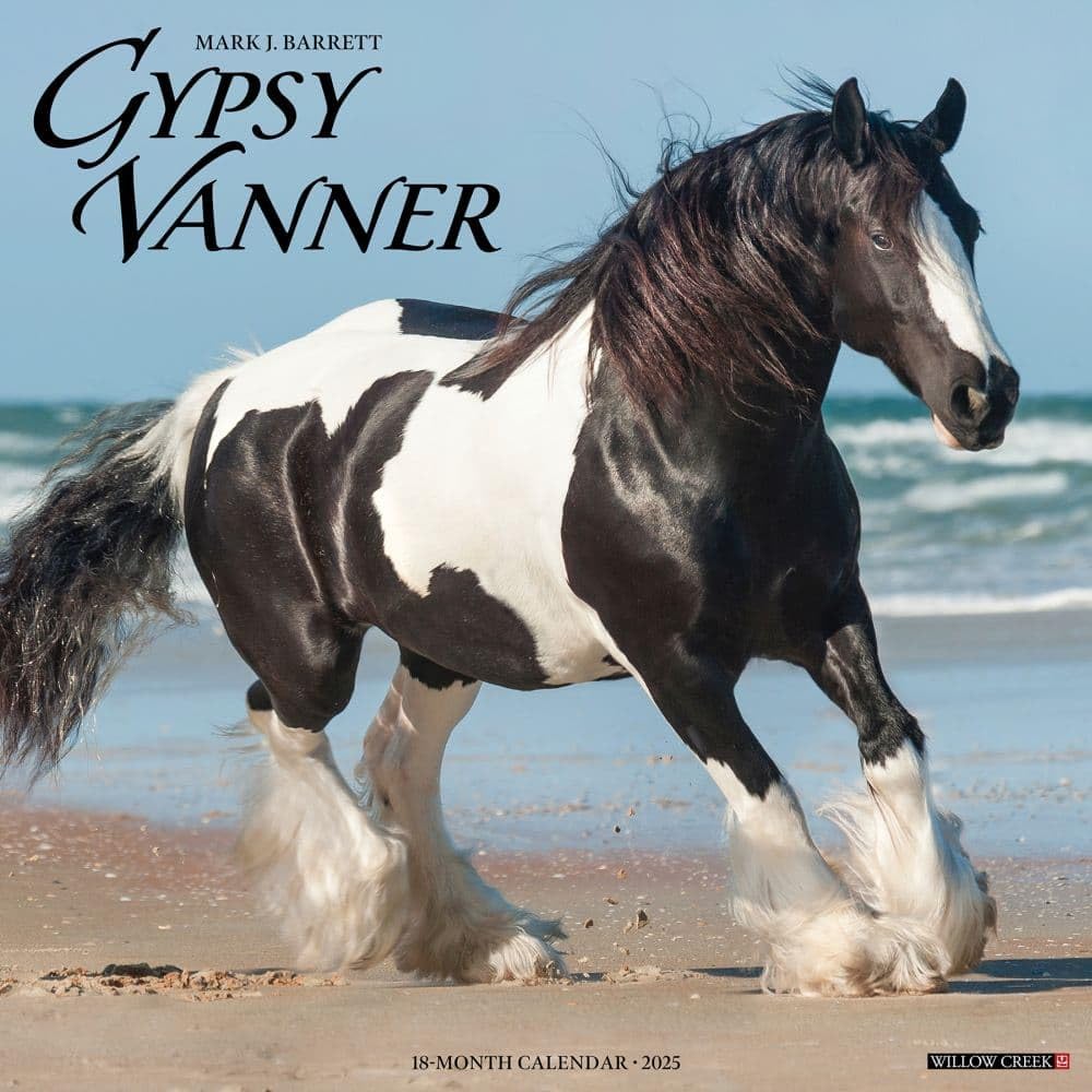 Willow Creek Press, Gypsy Vanner Horses 2025 Wall Calendar