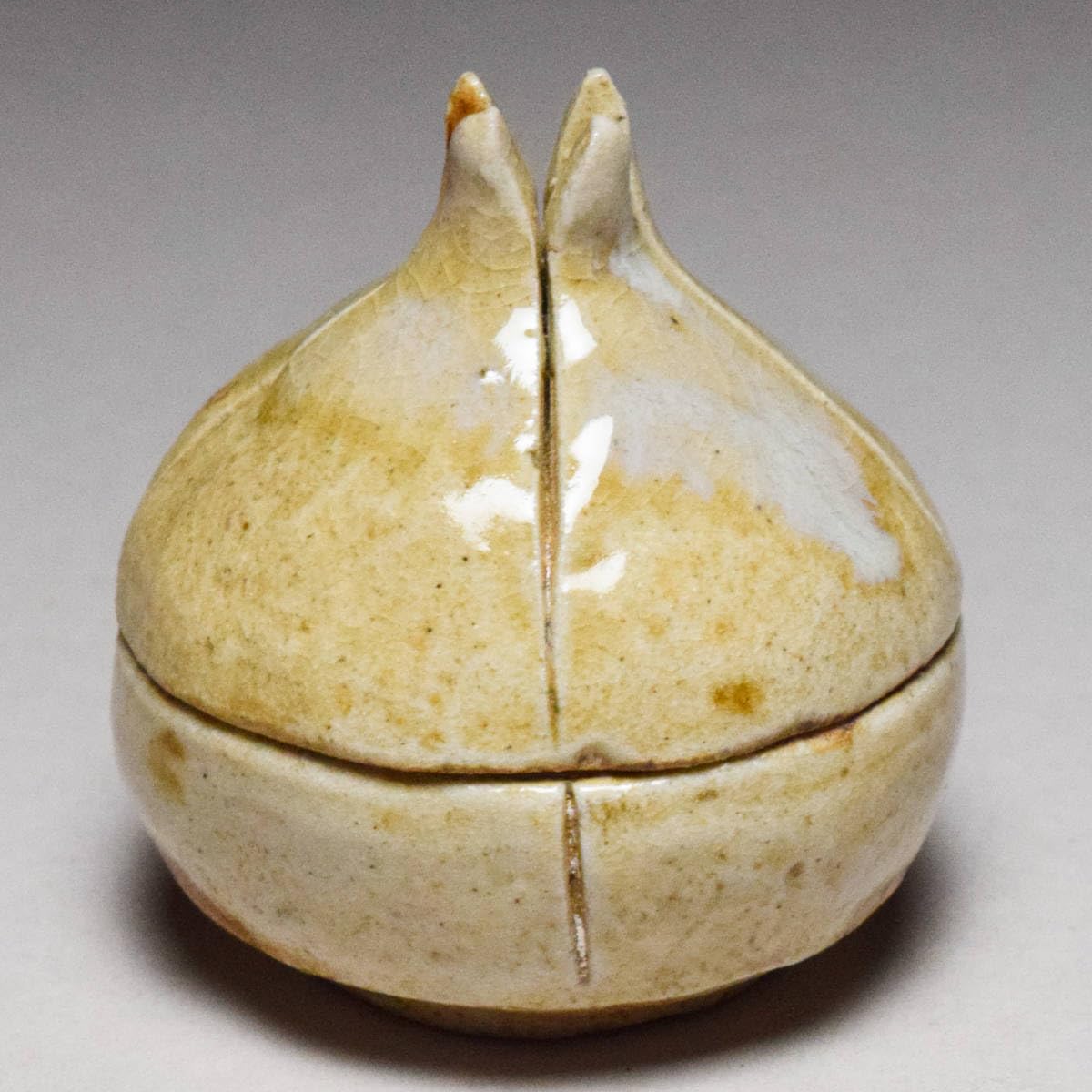 Amazon.co.jp: 宗陶苑上田寿方信楽柘榴香合共箱茶道具合子信楽焼石榴