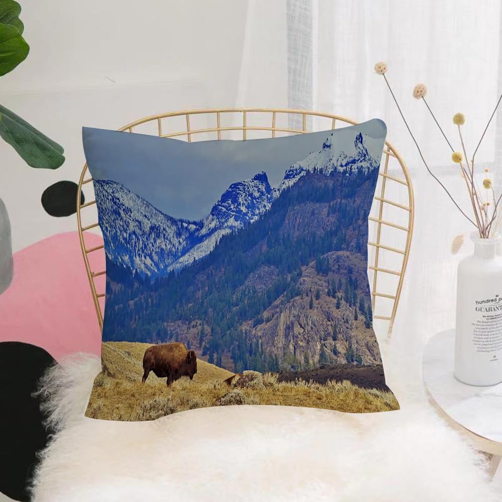 Hyosxw Mountains, Lone Cow, Rocky Mountains - A8 Cushion Cover,Throw Pillow Case Home Decorative For Living Room Bedroom Sofa Chair 18X18 Inch,Mountains, Lone Cow, Rocky Mountains,Pillowcase 45X45cm