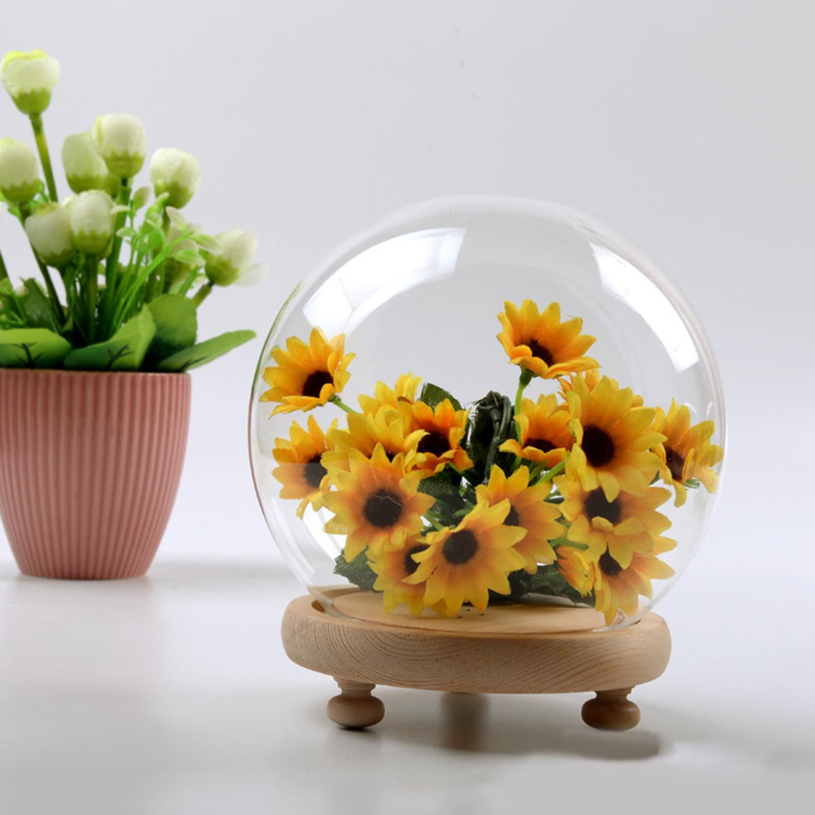 Colcolo Display Cloche Dome Redonda Incluye Base de Madera Suave Campana de Cristal Decorativa Vitrina para Figuras Campana Transparente Adecuada para Bodas, 10CM