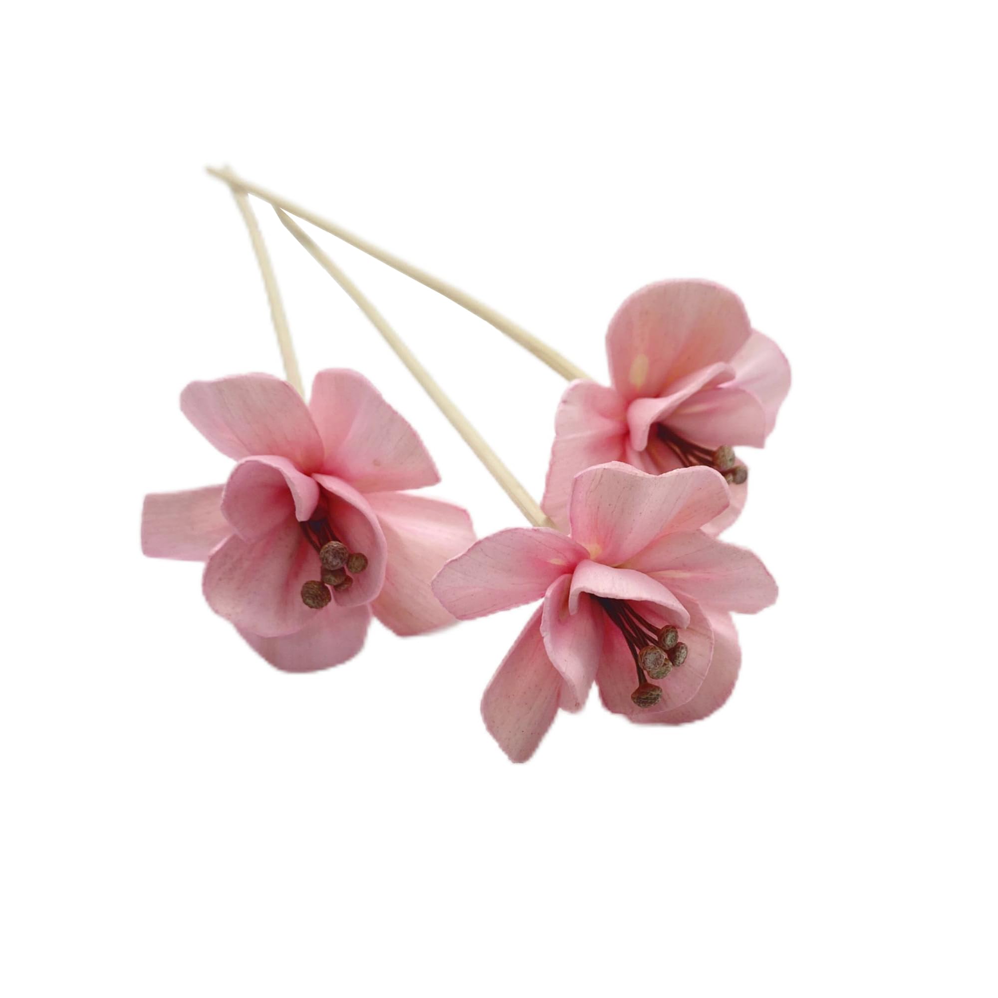 SKYPRO Artificial Flower Rattan Sticks Set Fireless Fragrances Reed Diffuser Stick Essential Oil Aroma Diffuser Sticks Diy Ornaments Home Decor - Style 6