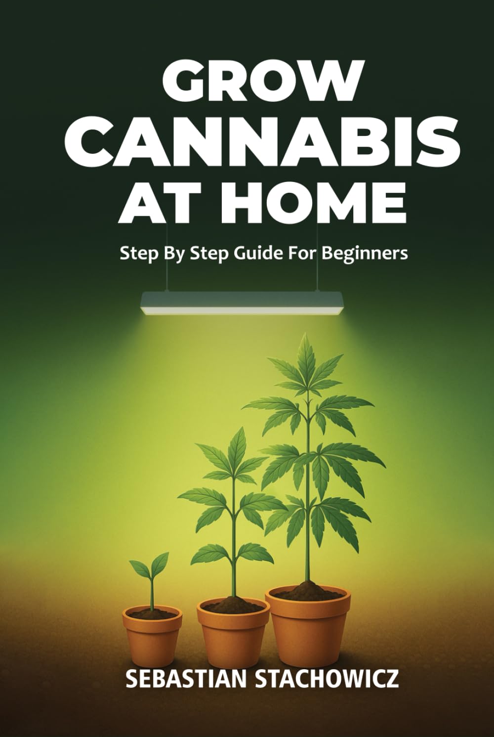 Grow Cannabis At Home: Step By Step Guide For Beginners