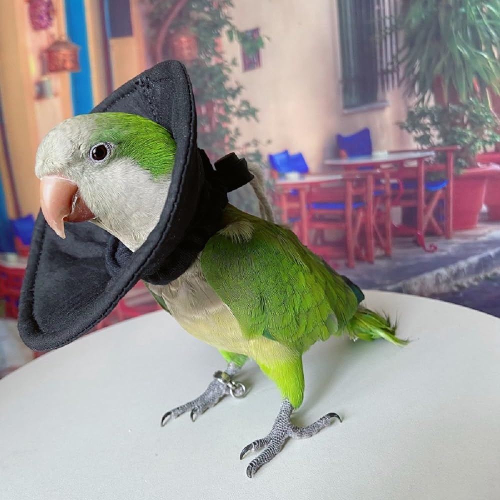 Parrot Neck Collar, Anti-bite Picking Feather Healing Protective Cover for Birds (4XL)