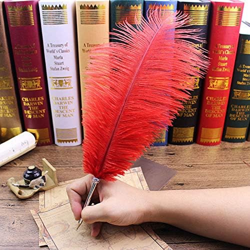 Hermoso bolígrafo de pluma de avestruz para escribir pluma de pluma de recepción de boda conjunto (rojo vino)