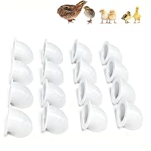 Quail Chick Port Feeder Compatible with DIY Bucket Pail Bin Container Coturnix - Set of 16 1.5in