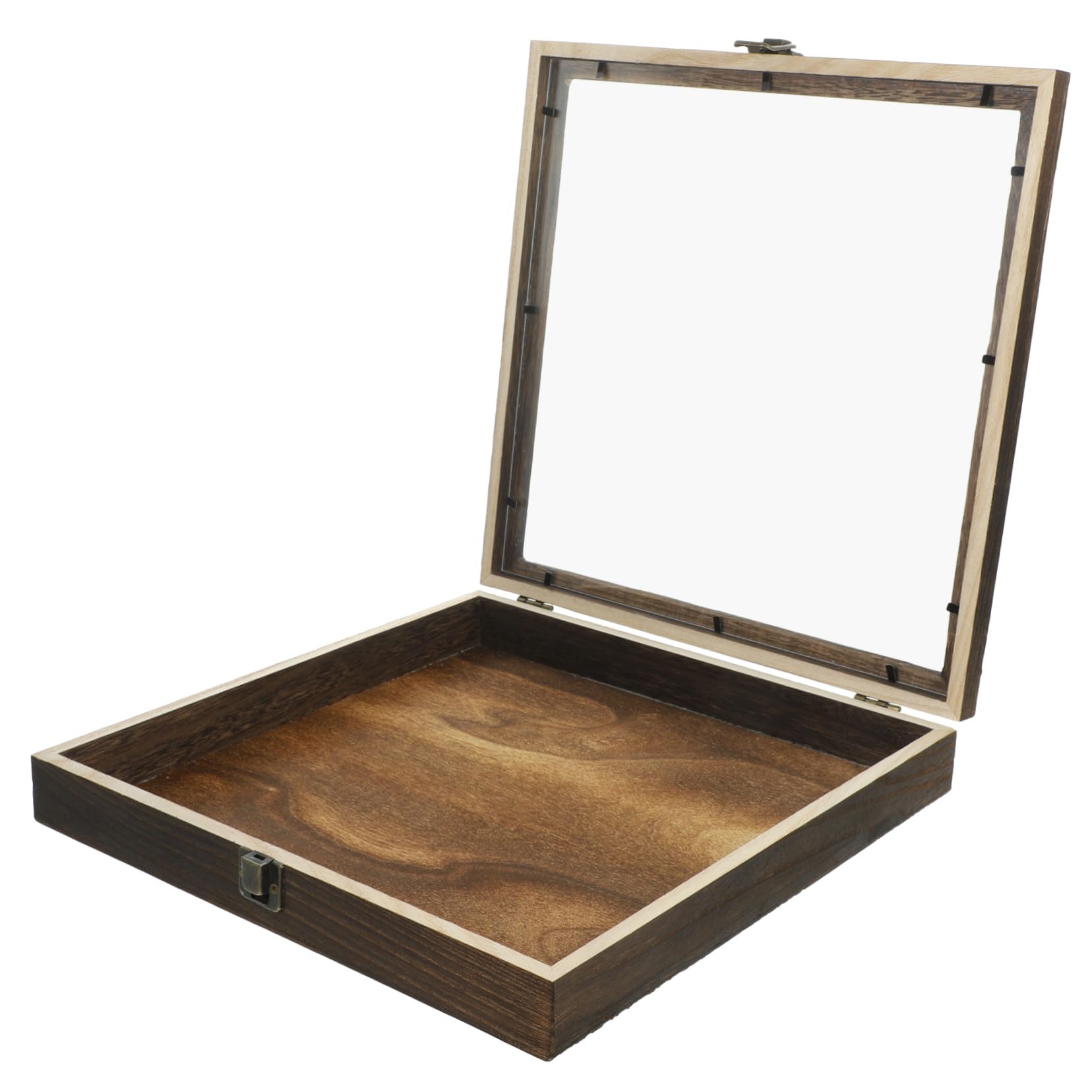 Caja de Presentación de Insectos Tapa Abatible de Madera