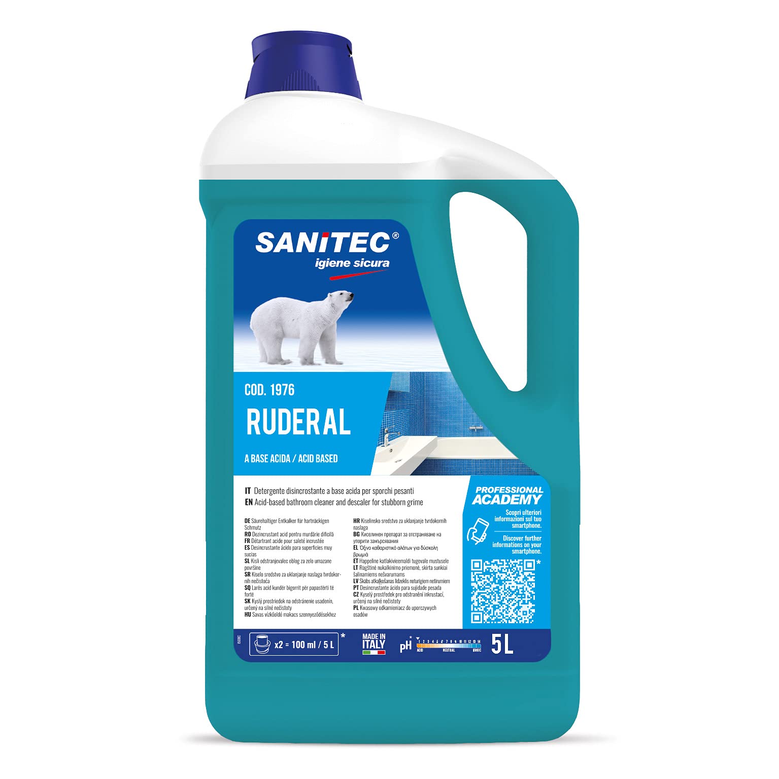 Ruderal Pulirapido - Disincrostante Universale contro Incrostazioni di Calcare e Ruggine - 5 kg