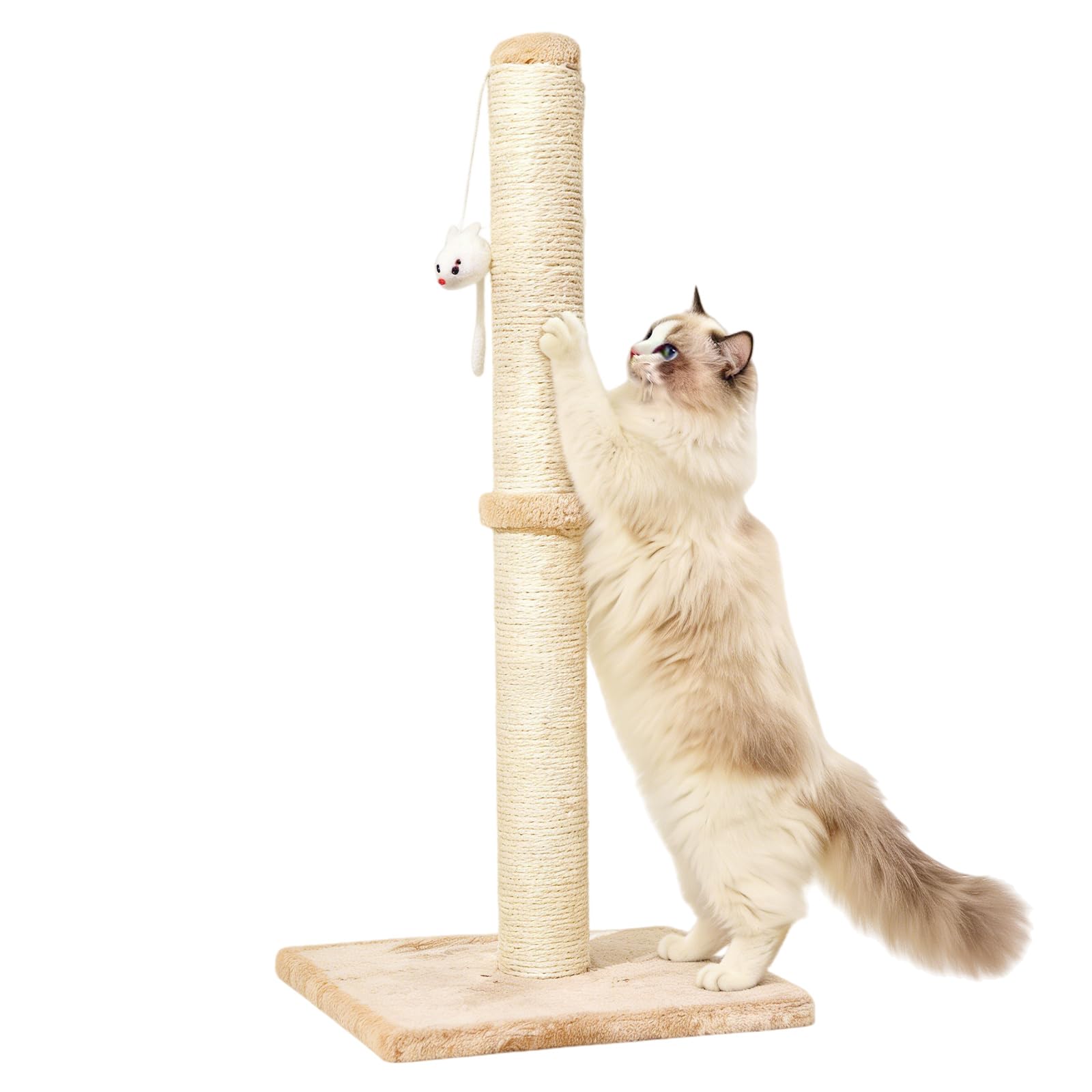 Colonna tiragraffi per gatti, 30 x 30 x 64 cm, albero tiragraffi verticale, piccolo albero tiragraffi con palla sospesa, sisal naturale, per gattini e gatti piccoli, base tabile