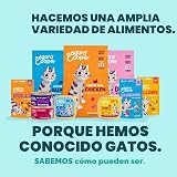 Ver la foto 8
