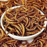10 OZ Natural Dried Mealworms for Wild Birds, Chicken, Duck, etc